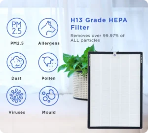 SA600 HEPA FILTER (2 pack)